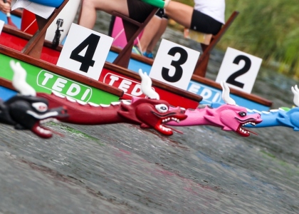 Dragon Boat Poznan 2014 general